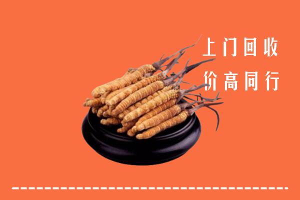 高价求购：九江柴桑区回收散虫草