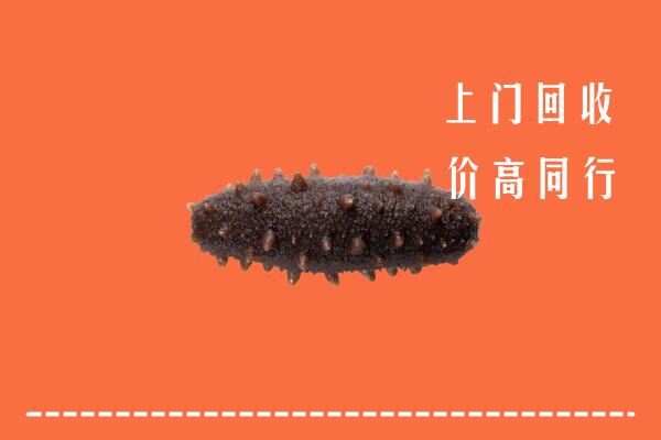 九江柴桑区回收海参